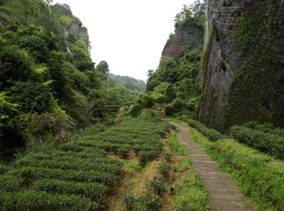 P4165933 14556736735 O