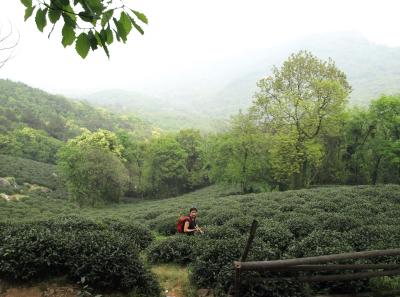 P4195956 14553184521 O