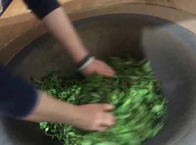 51714363957 D4484d2848 O