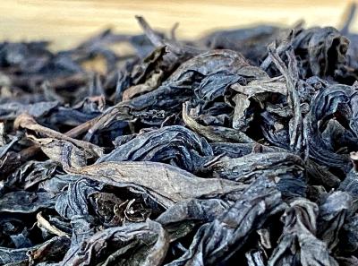 51714396667 6152985710 O