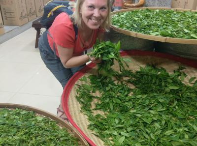 51714415557 9856252b48 O1