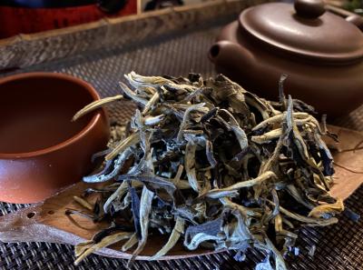 51714428772 3018abbb90 O