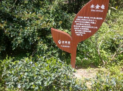 51714474137 4a5eb9a510 O