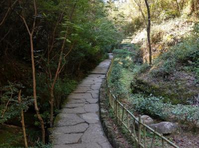 51714487662 F811c2fdf7 O1