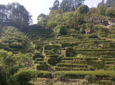 51715140226 Cefafc1ddd O