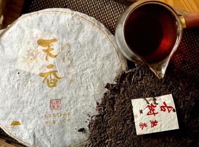 51715158626 77338815f4 O