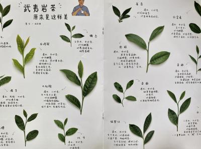 51715185181 A6077aa0f1 O