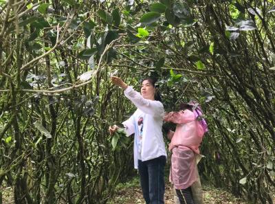 51715223841 E020336579 O