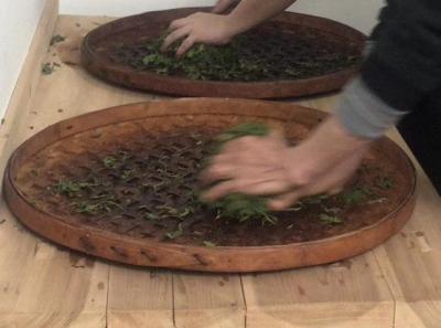 51715241706 4a3ed96ced O