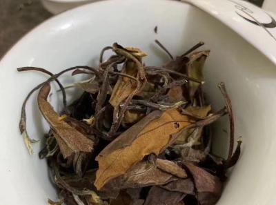 51715241811 923349b5ee O