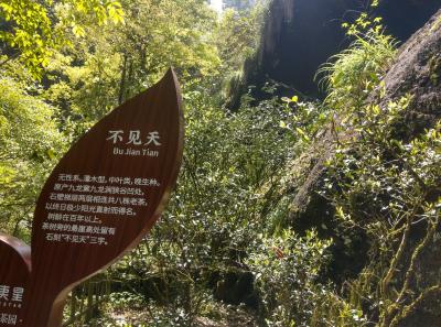 51715417438 5fb3f6722d O