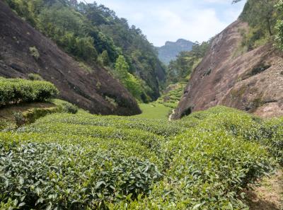 51715421908 9dc8e1f1fd O