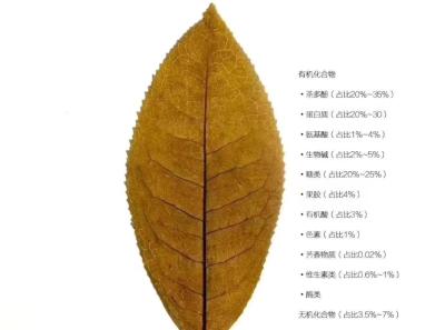 51715422463 D5df7b1ee7 O