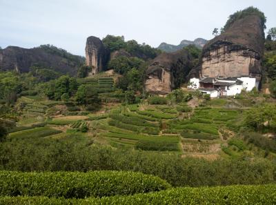 51715424168 1874e65bb9 O