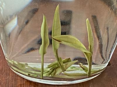 51715435298 5cac06b7b9 O