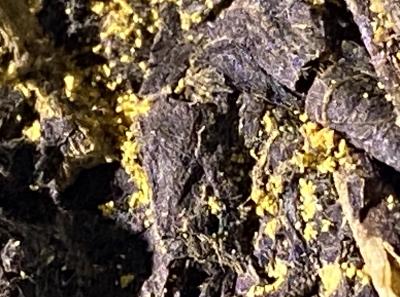 51715448558 F085150e8f O