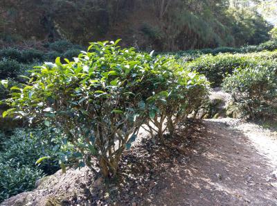 51715800559 9b0eaf3d18 O