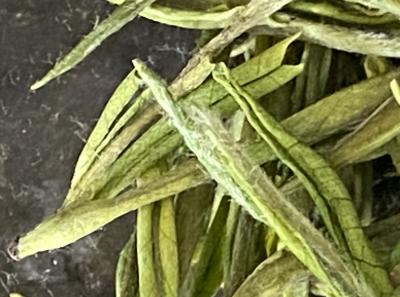 51715885064 Eb998c4451 O