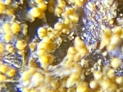 51715946644 2f6ea3419e O