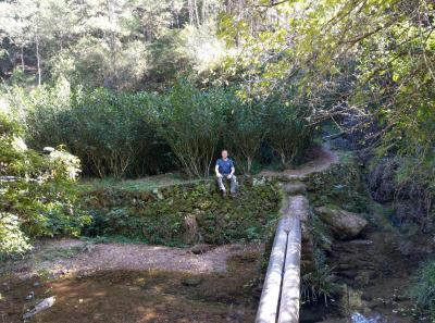 51715946864 37c441a842 O