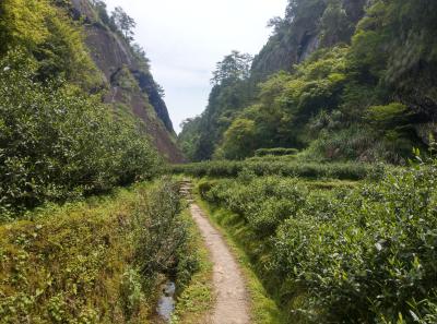 51716006950 1476cd4e73 O