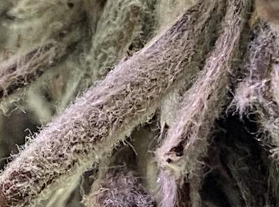 51716027225 A497f2b1c7 O