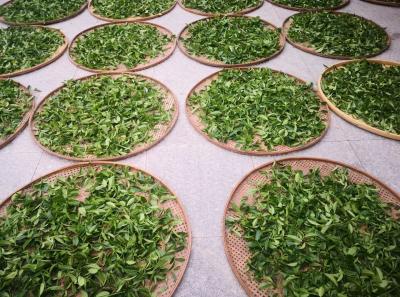 51716091940 1f551d256c O