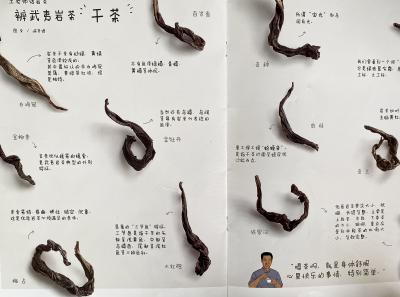 51716153915 1929d25d99 O