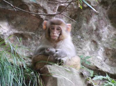 China 2013 10 33 10434517395 O