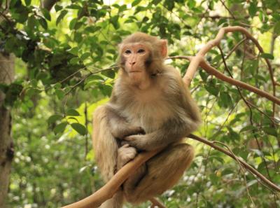 China 2013 10 34 10434516885 O