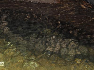 China 2013 10 39 10434514915 O