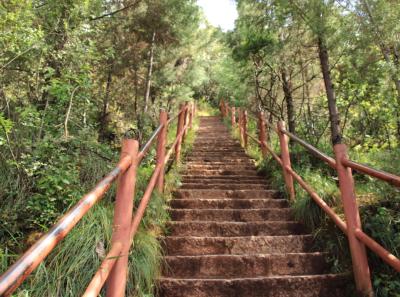 China 2013 10 51 10434648463 O