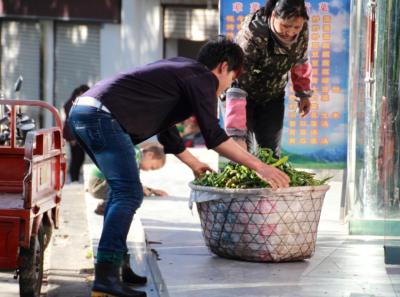 China 2013 10 60 10434496006 O