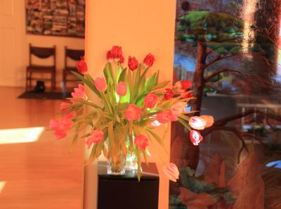 Studio 00020 14679542267 O