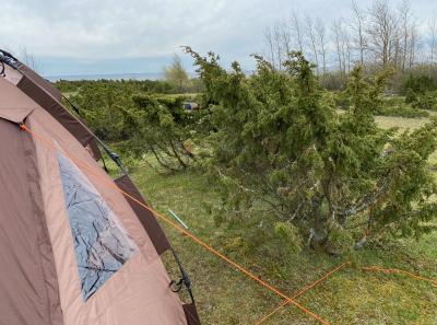 Img 3187 51206398418 O