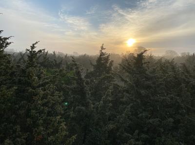 Img 3231 51206196876 O