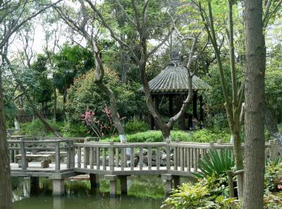 P1090251 50190633978 O