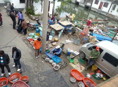 P1090283 50191179071 O