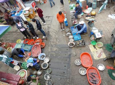 P1090284 50191178861 O