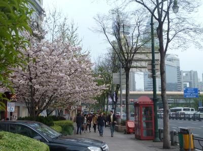 P1090299 50190671368 O