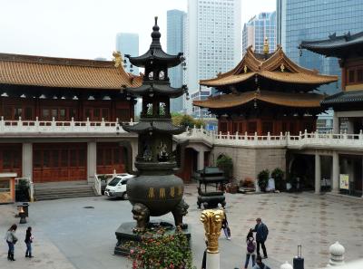 P1090364 50191436592 O