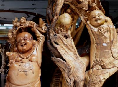 P1090407 50191175256 O