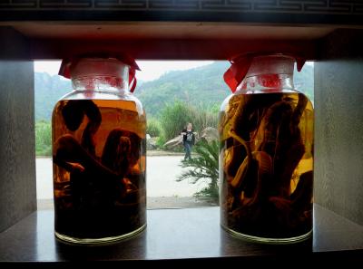 P1090438 50190628538 O