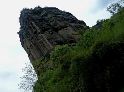 P1090547 50190623753 O