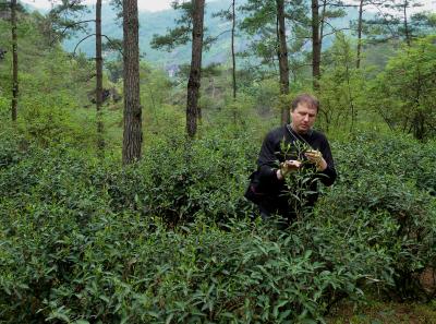 P1090613 50191427812 O