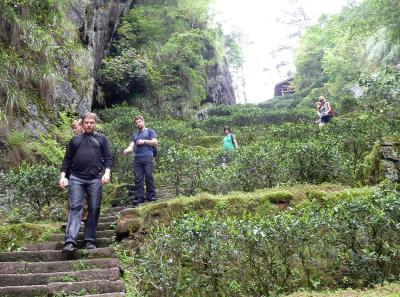 P1090617 50191166851 O