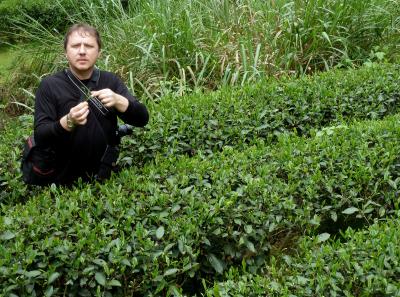 P1090631 50191165966 O