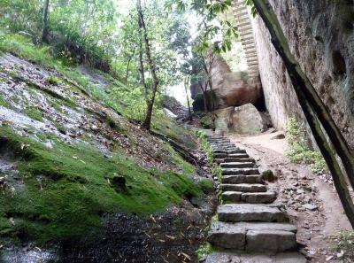 P1090797 50191416797 O