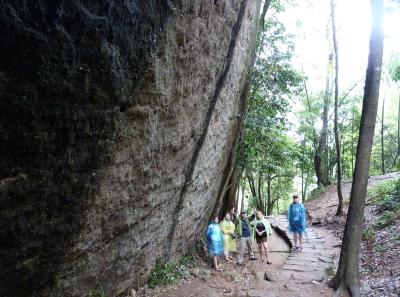 P1090800 50191416512 O