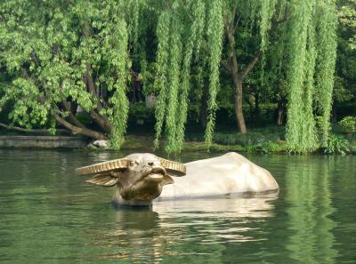 P1090898 50190607533 O